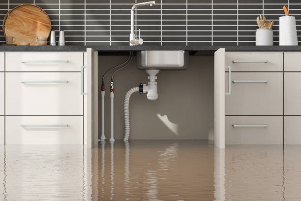 Best Basement water damage restoration  in USA